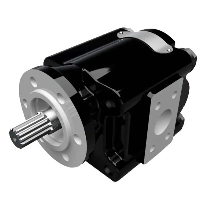 PG Cast Iron Gear Pump02