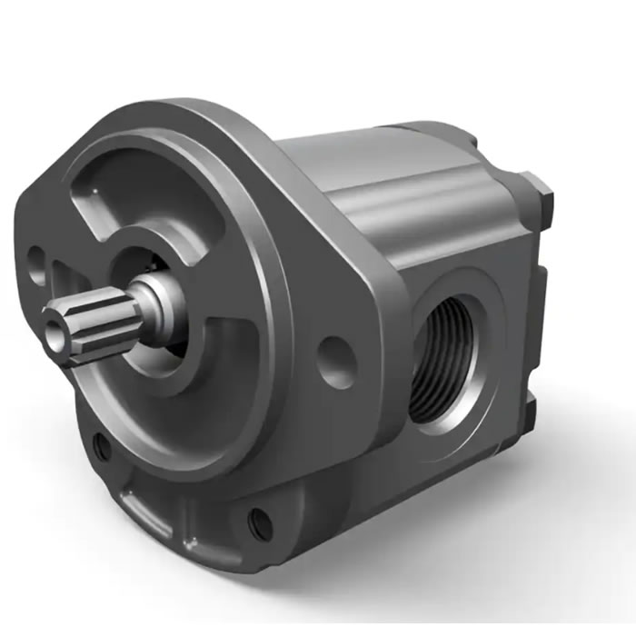 PG Cast Iron Gear Pump03