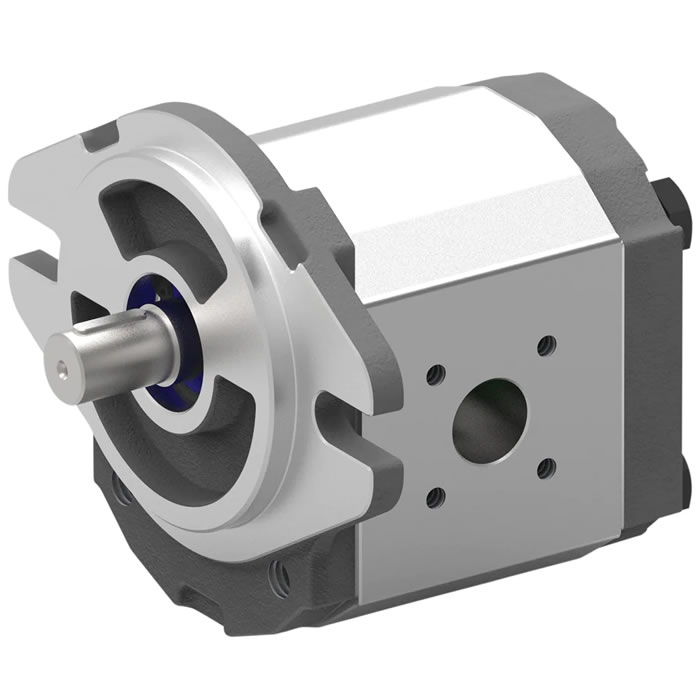 PG Cast Iron Gear Pump04