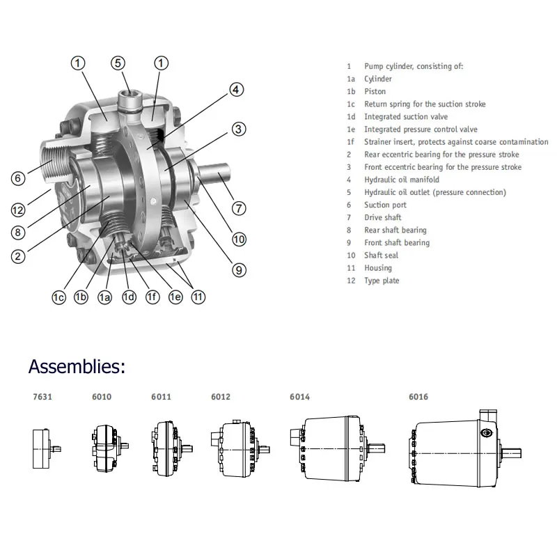 HAWE Radial Piston Pump Type R & RG Series(3) radial piston pump head 2.webp